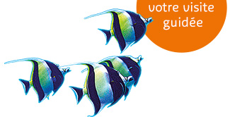 Choisir votre visite guidée