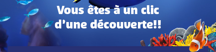 Vous êtes à un clic d’une découverte!!